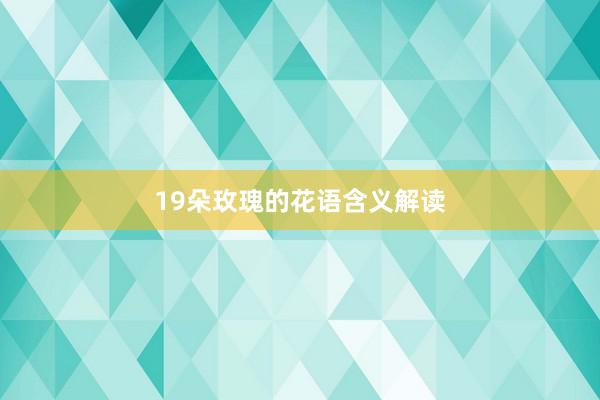 19朵玫瑰的花语含义解读
